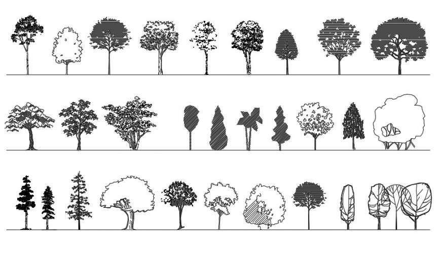 CAd drawings details of deciduous trees - Cadbull