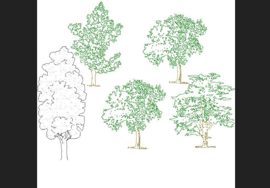 Deciduous trees plan detail dwg file. - Cadbull