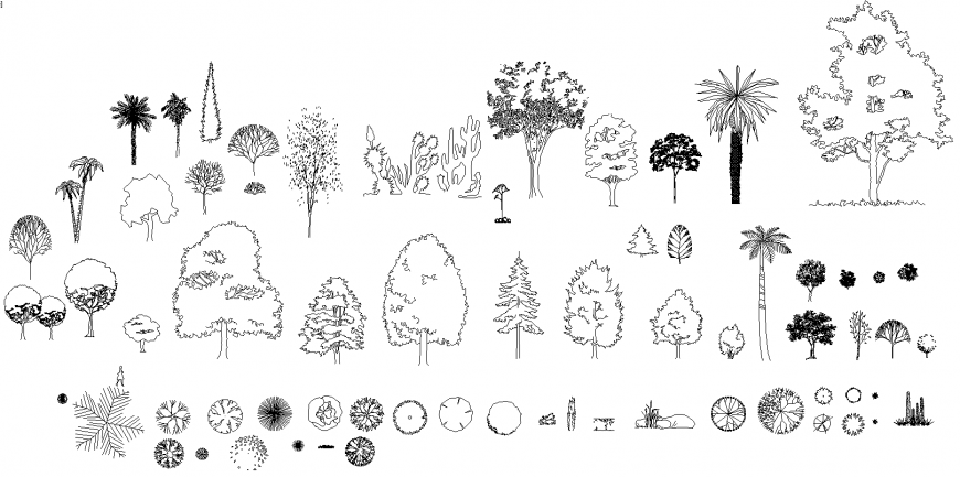Tree Drawing Stock Illustrations RoyaltyFree Vector Graphics  Clip Art   iStock  Christmas tree drawing Palm tree drawing Oak tree drawing