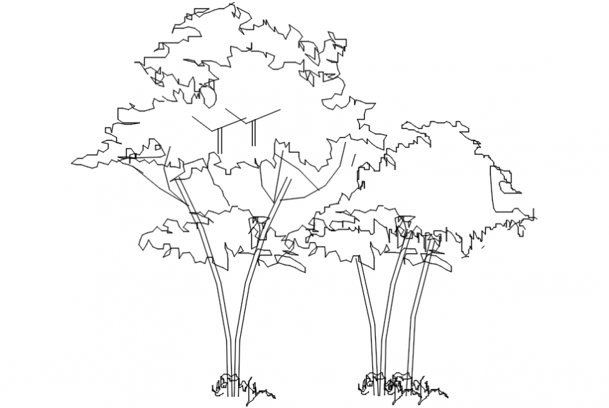 Tree view design with view of area of tree elevation dwg file