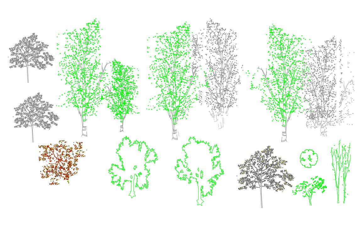 Download Free Tree Cad Blocks Autocad File Cadbull