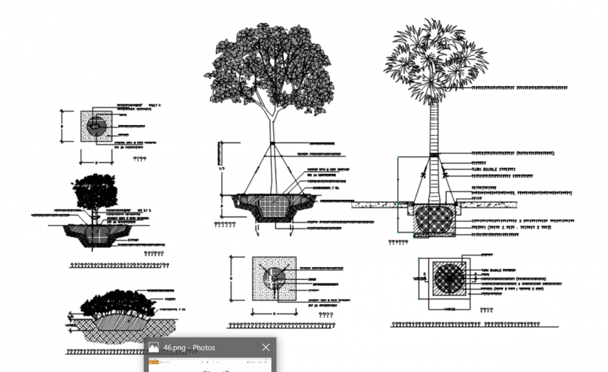 Drawing of tree plantation detail - Cadbull