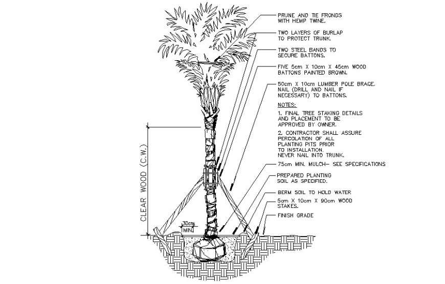 Drawings details of 2d view landscaping trees autocad file