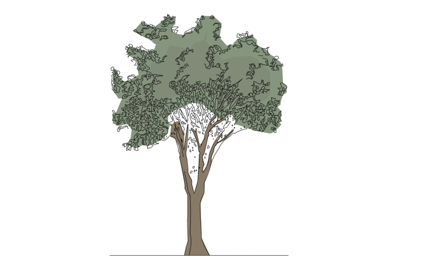 Dynamic colored tree elevation block drawing details dwg file - Cadbull