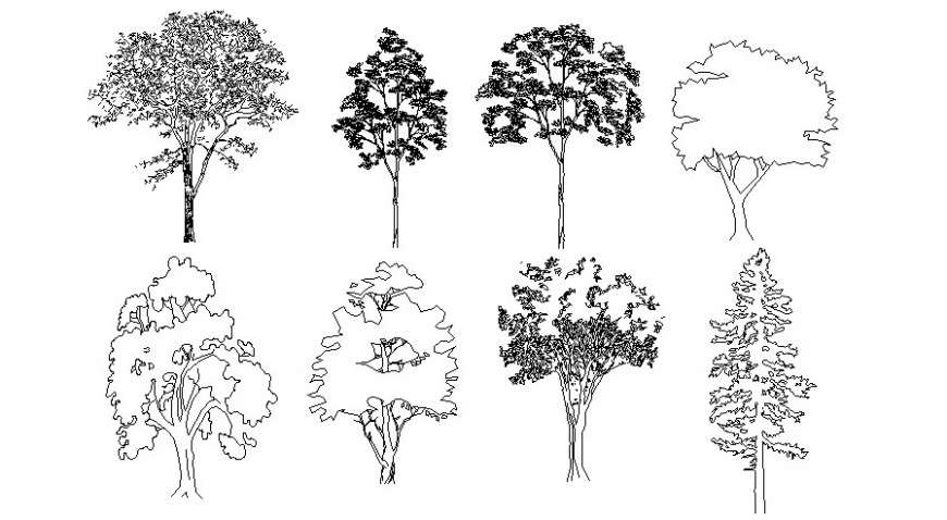 Tree Symbols in Elevation – Drawing | CHO HEE SONG