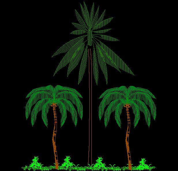 Heighted tree cad drawing is given in this cad file. Download this cad ...