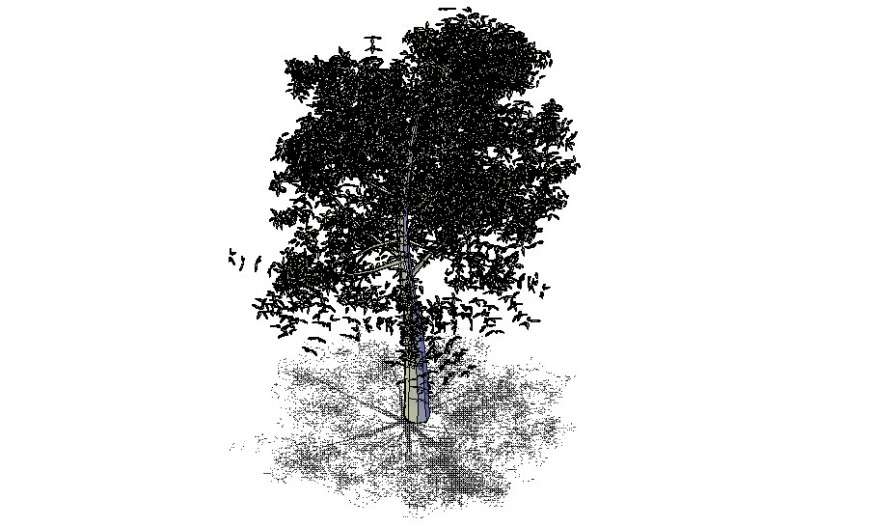 3d tree autocad download
