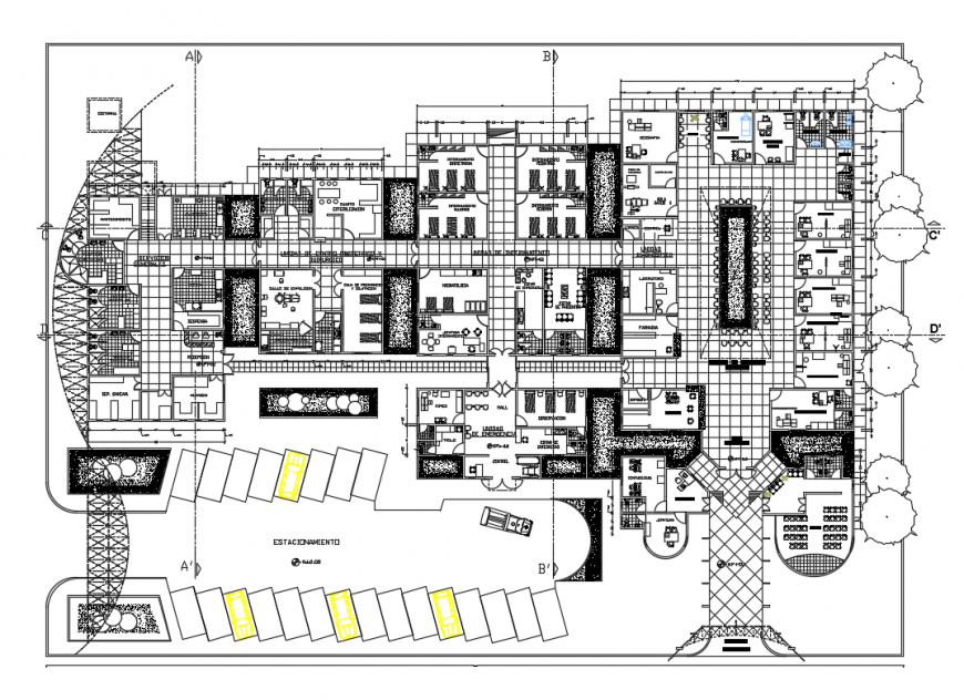 Multi Specialist Health Hospital General Layout Plan Cad Drawing
