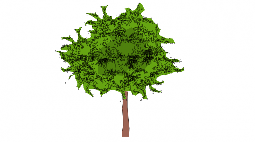 Neem Tree Clipart Images | Free Download | PNG Transparent Background -  Pngtree