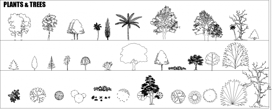 Дерево чертеж. Деревья Автокад для фотошопа. Кошачье дерево план чертеж. Автокад вставить контур дерева на план. Дерево для чертежа DBL C,JRE.