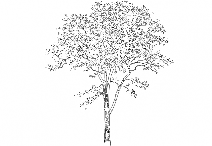 Simple tree elevation block cad drawing details dwg file Cadbull