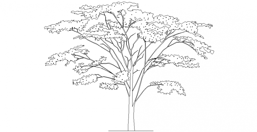Elm alphabet tree design elements flat handdrawn sketch leaves blossom  decor vectors stock in format for free download 162 bytes