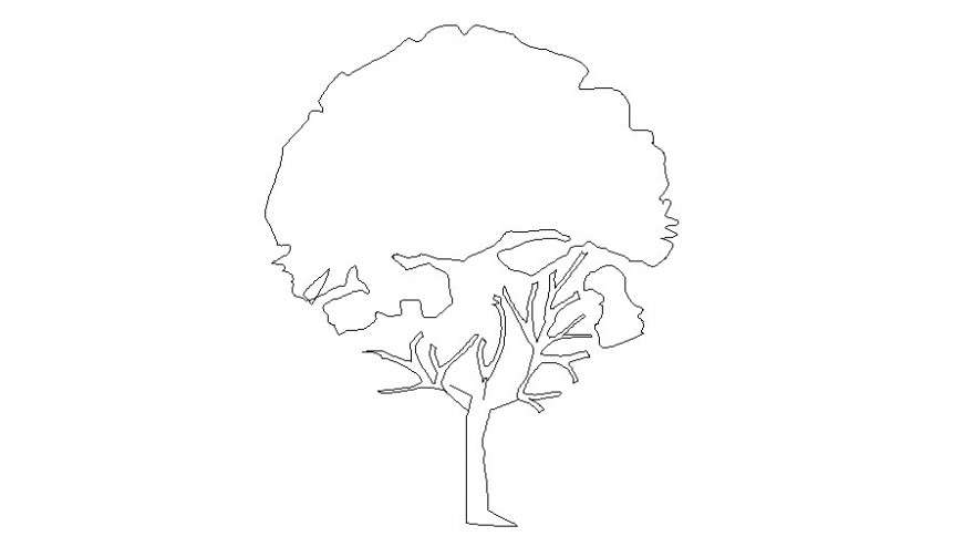Trees and plants drawing 2d view cad blocks in autocad software - Cadbull