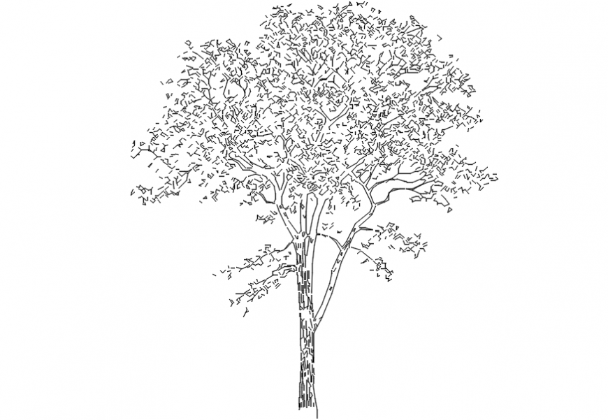 Trees front sectional model elevation Cadbull