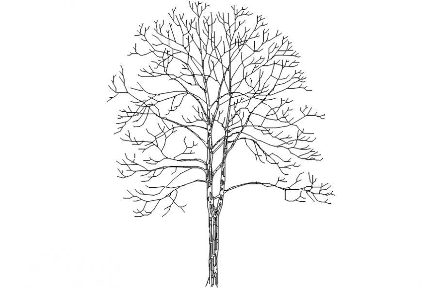 Trees front sectional model files - Cadbull