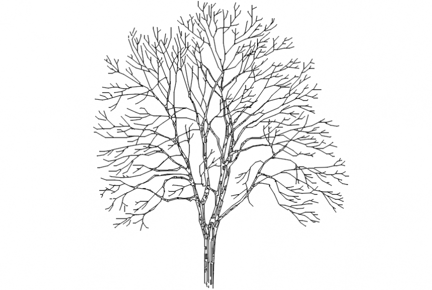 Trees front sectional view - Cadbull