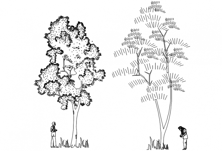 Premium Vector | Big set of hand drawn tree sketches