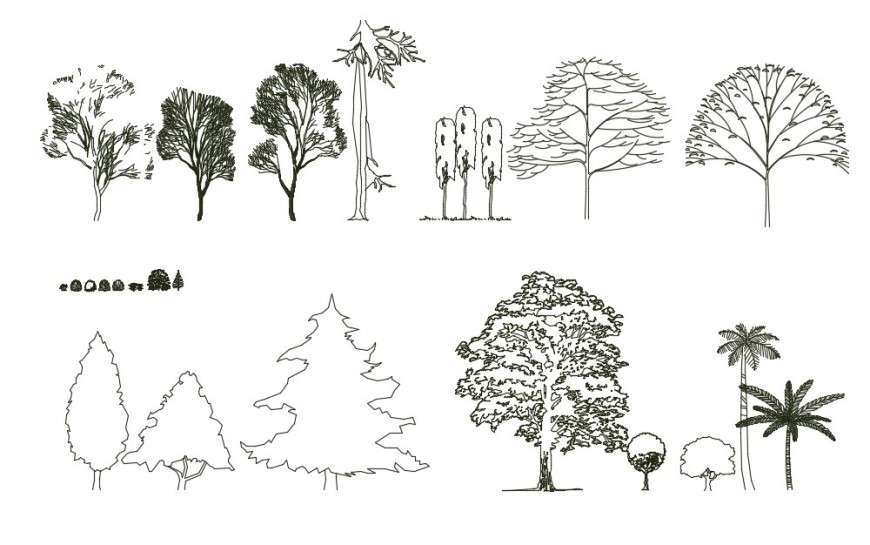 70 Tree Drawings to Spark Your Creativity - Beautiful Dawn Designs